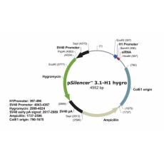 pSilencer 3.1-H1 hygro
